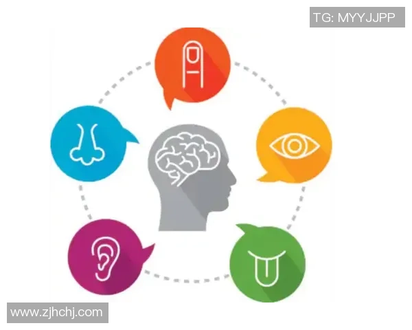 巅峰国际数字视网膜技术引领未来视觉革命与健康管理新趋势